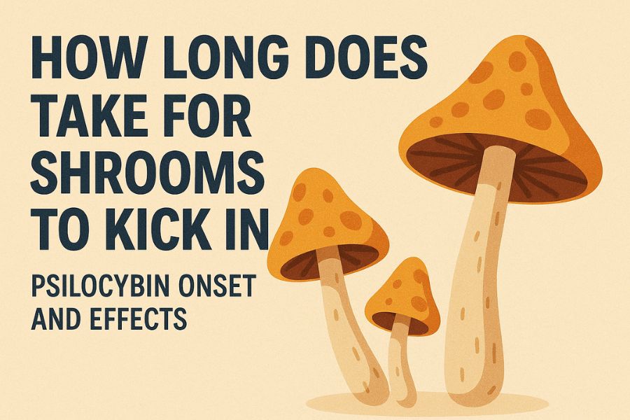 how long does it take for shrooms to kick in